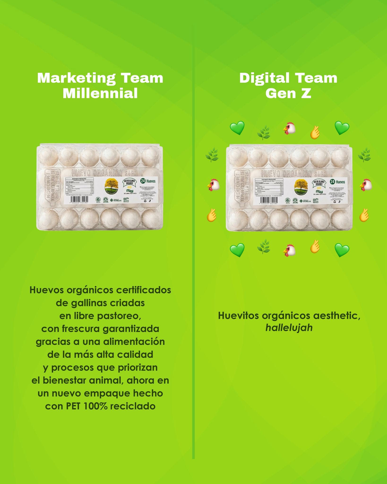Huevos Orgánicos Eco